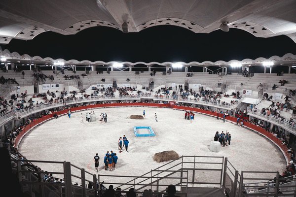 Welche Basketballregeln sollte jeder Anf√§nger kennen?